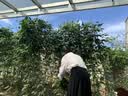 佳帮手床底收纳箱床下衣服被子杂物收纳神器扁平整理储物箱带滑轮密封扣 单只装*基础款【61*40.5*18cm】4滑轮 实拍图