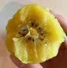佳沛（zespri）新西兰阳光金奇异果6粒装88-103g猕猴桃水果中秋节礼品送水果礼盒 实拍图