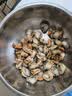 鲜项大号冷冻带黄扇贝肉净重2斤约80-120粒烧烤火锅食材海鲜生鲜送礼 实拍图