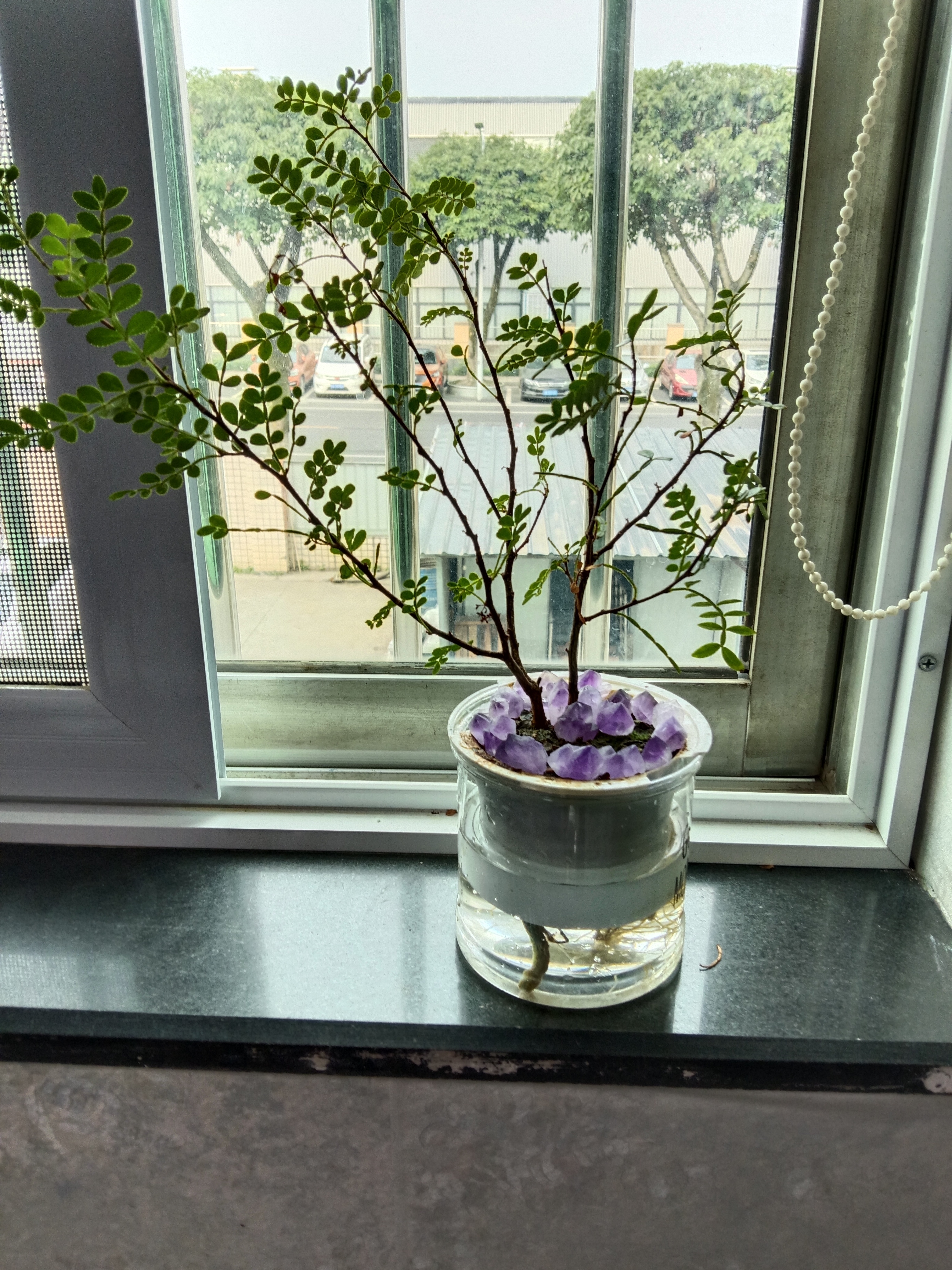 雅拼山茶栀子花积木盆栽手工diy拼装桌面拼图摆件情人节生日礼物女生 新品-绿野流光【配暖灯+防尘罩】 实拍图