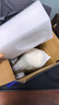罗娅车载烧水壶12V/24V/220V旅行便携烧水壶烧水杯车家两用316不锈钢 实拍图