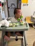 HUAERLE宝宝餐椅家用同款肯德基婴儿餐椅6个月以上吃饭桌二合一儿童椅子 豪华款【青色餐盘+坐垫+轮子】 实拍图