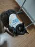 LEGENDSANDY蓝氏全价猫粮成猫幼猫生骨肉冻干粮 猎鸟乳鸽500g 实拍图
