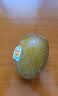 佳沛（zespri）新西兰阳光金奇异果巨大果22粒原箱单果146-175g 猕猴桃水果礼盒 实拍图