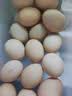 京鲜生 无抗保洁鲜鸡蛋30枚/盒 健康轻食 礼盒送礼 1.5kg/盒 源头直发 实拍图