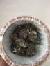 印象堂新茶 茉莉龙珠特浓香型冷泡茉莉花茶罐装川派窨制茶叶100g罐装 实拍图