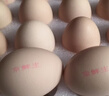 京鲜生 无抗保洁鲜鸡蛋30枚/盒 健康轻食 礼盒送礼 1.5kg/盒 源头直发 实拍图