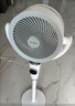 艾美特（AIRMATE）【小暴风PRO】空气循环扇家用大风力摇头电风扇卧室安静轻音小风扇桌面台式节能落地扇电扇 X231 实拍图