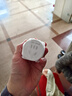 电小酷智能插座WiFi米家APP语音控制远程定时无需网关CP1 10A 220V联动家电遥控插座定时开关插座 实拍图