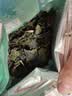 半山农 紫苏叶250g  紫苏茶干搭紫苏中药材紫苏籽叶泡茶水花草茶 实拍图