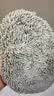 悦卡洗车拖把车用掸子专用刷车神器擦洗车工具三段式弯杆水刷-橙灰色 实拍图