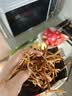 川珍黄花菜500g袋装 山珍干货农家金针菜煲汤配菜火锅食材源头直发 实拍图