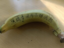 飞利浦（PHILIPS）剃须刀电动剃须刀飞利浦原装进口刮胡刀电动剃须刀胡须刀剃胡刀官方旗舰店送男友长辈生日七夕礼物 【经典款式】旋风1系 深蓝星 实拍图