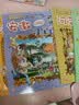 大中华寻宝记系列·儿童中国地理科普知识百科漫画书（13-16册套装共4本）（云南/河南/安徽/湖南），人文地理，漫画读物 暑假作业 一升二暑假衔接 小升初暑假衔接  实拍图