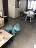 爱派森小马椅子网红动物座椅家用客厅落地摆件乔迁礼物卡通创意儿童沙发 【全新升级高品质】迪奥棕超大号 实拍图