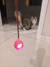 HELLOJOY猫咪玩具自嗨解闷神器智能电动逗猫球自动逗猫棒幼猫遛猫消耗体力 实拍图