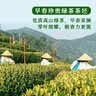 张一元茉莉花茶叶毛尖浓香型老北京伴手礼品春新口粮茶特种200g金罐装 实拍图
