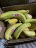 佳农厄瓜多尔进口香蕉净重4斤（约10-12根）单根蕉 独立包装 生鲜水果 实拍图