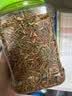 licheers龟粮乌龟饲料1200ML巴西龟小草龟虾干鱼干六合一专用大颗粒粮食 实拍图