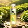 不止夏天沏茶 明前龙井550mL*15瓶0糖0脂0能量植物饮料无糖茶饮品整箱清爽 实拍图