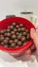 Maltesers麦提莎澳洲原装进口麦丽素夹心牛奶巧克力豆465g休闲零食喜糖特产 实拍图