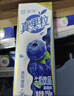 蒙牛真果粒蓝莓味牛奶饮品250g*12盒 礼盒新老包装 含乳饮料送礼礼盒 实拍图