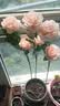 吕姆克仿真花假花绢花塑料花居家餐桌装饰摆件3头香槟色洋牡丹6支装5913 实拍图