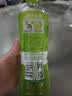 伊藤园（ITOEN）清爽绿茶500ml*15箱 茶叶饮料无糖茶饮料 0糖0脂0卡饮料 健康 实拍图
