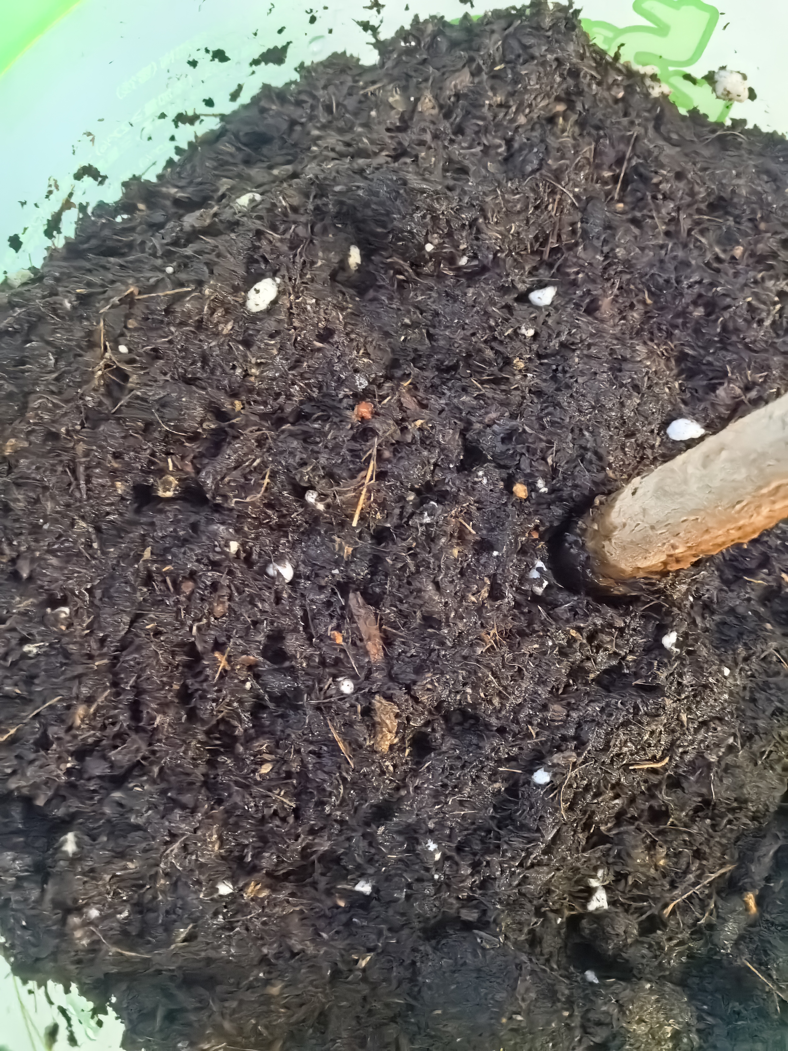 史丹利3L包装营养土园艺有机土通用型种花种菜养花专用泥炭土壤种植土 实拍图
