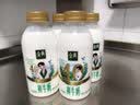 伊利【张凌赫同款】金典有机鲜牛奶260ml*6+金典208ml*6源头直发包邮 实拍图