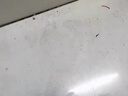 户净蚂蚁药茚虫威呋虫胺一窝端灭杀除蚂蚁特效药家用室内杀虫饵剂100g 实拍图