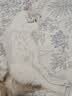 喔喔（WOWO）全价猫粮 经典大蓝包冻干三鲜 成猫幼猫通用猫干粮 鳕鱼虾3斤 实拍图
