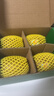 佳沛（zespri）新西兰阳光金果4粒装单果约103-114g 猕猴桃新鲜水果源头直发 实拍图