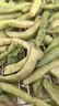 农家四季豆新鲜现摘云南长扁豆角农家应当季蔬菜芸豆现摘菜豆 新鲜四季豆3斤带箱 实拍图