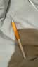 Apple/苹果 Pencil Pro 磁吸触控笔手写笔苹果笔电容笔书写绘画iPad笔 适用于iPad Pro/Air/mini机型 实拍图