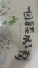 【信谊】一园青菜成了精 （3-8岁）原创图画书系列 丰子恺儿童画书奖 激发儿童想象力的优秀童书绘本 一升二衔接 小升初衔接 实拍图