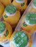 金豆芽儿童金银花柚子汁155ml*16瓶夏天孩子饮料宝宝果汁西柚汁 实拍图