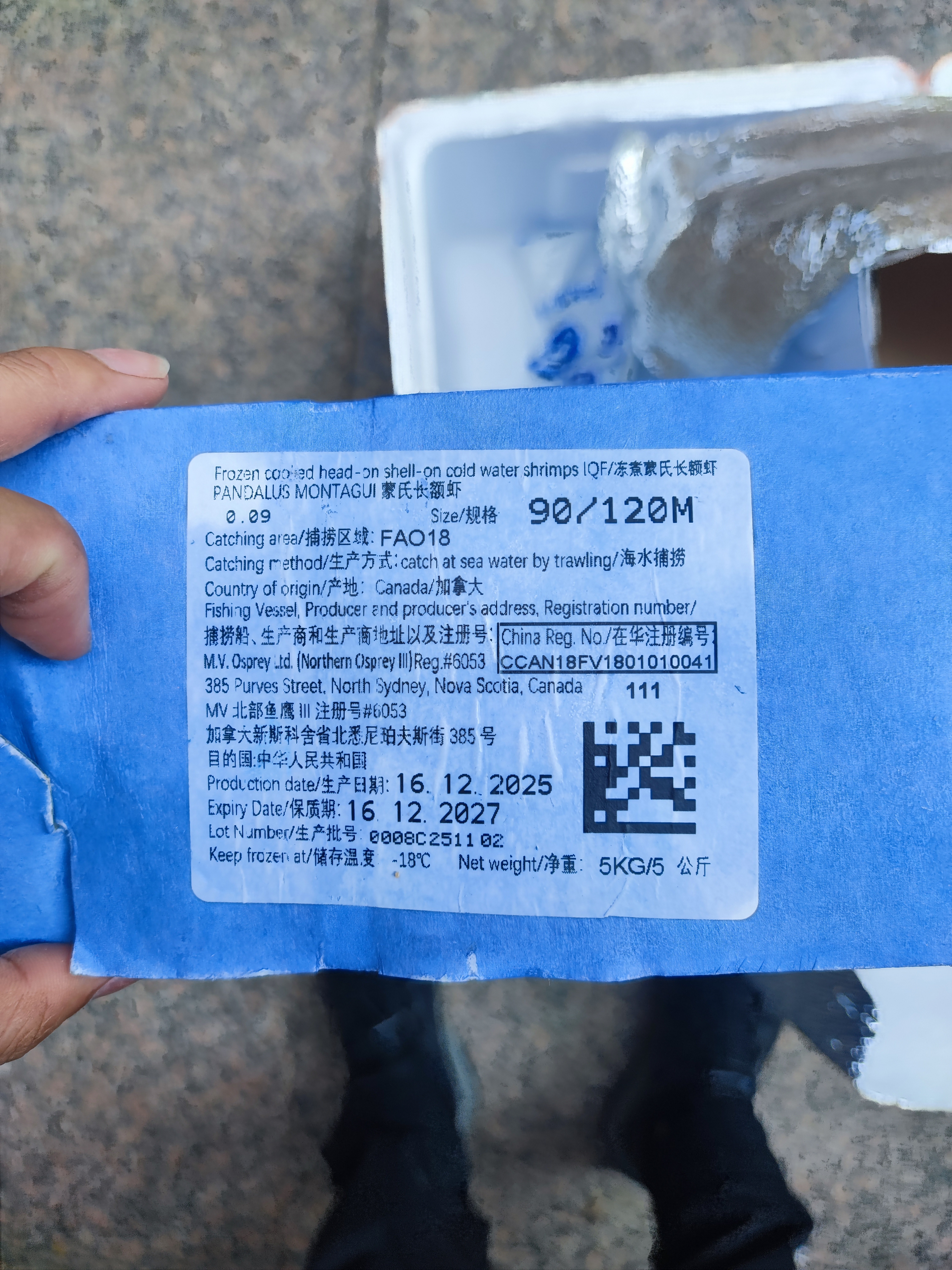 禧美海产黑头北极甜虾10斤 90-120+规格 源头直发海藻头 原箱 水产海鲜 实拍图