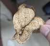 福东海新会二十年老树老陈皮150克 中秋礼品（珍藏木箱）老树特产大红皮 实拍图