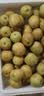 京地达陕西大荔冬枣净重2.7斤单果12g+脆甜枣子自营水果源头直发包邮 实拍图