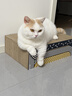 pidan猫砂 豆腐猫砂2.4kg*4包强力吸臭纯猫砂 可冲厕所非膨润土砂 实拍图