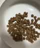皇家猫粮 绝育成猫粮 SA37通用粮 1-7岁10KG 实拍图