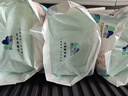 凯儿得乐小鹿裤拉拉裤XXXXL22片(超20kg)婴儿学步裤成长裤尿不湿 实拍图