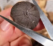 云山半独头黑蒜250g 山东特产金乡紫皮黑大蒜头 即食煲汤 深度发酵 实拍图