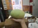 玖原农珍 攀枝花凯特芒甜心芒果净重4.5-5斤优选果320-600g当季新鲜水果 实拍图