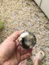 拜杰316不锈钢茶漏茶仓调料球炖肉料盒卤料笼茶叶过滤球茶滤泡茶球 实拍图