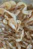查干湖湖虾250g*2袋 净重500g 天然生长白虾新鲜急冻小河虾源头直发包邮 实拍图