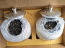承道铭茶叶滇红茶滇红金螺 特级凤庆蜜香金丝嫩芽新茶送礼茶叶礼盒 实拍图