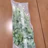 带根香菜100g 实拍图