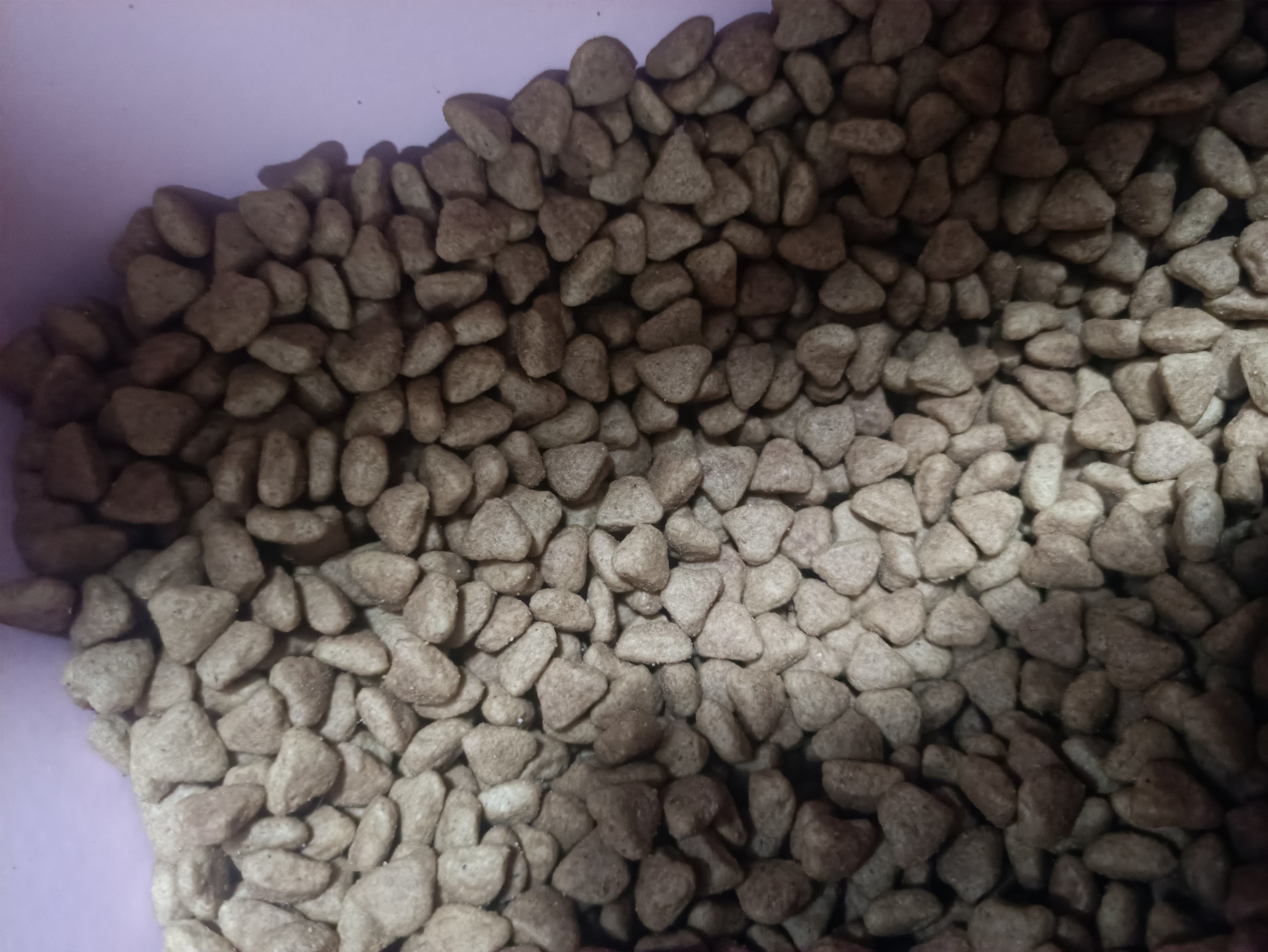 皇家猫粮 室内成猫粮 I27 通用粮 12月以上 10KG 实拍图